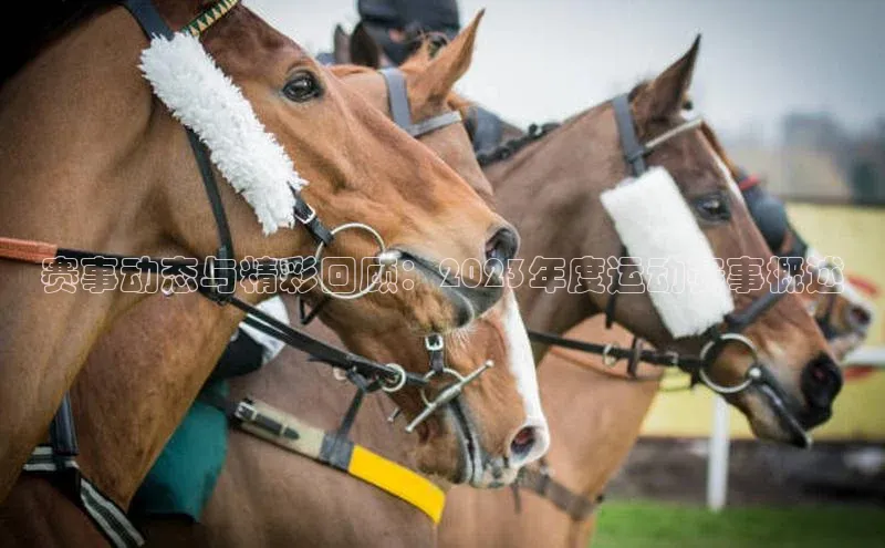 k1体育登录入口网页版