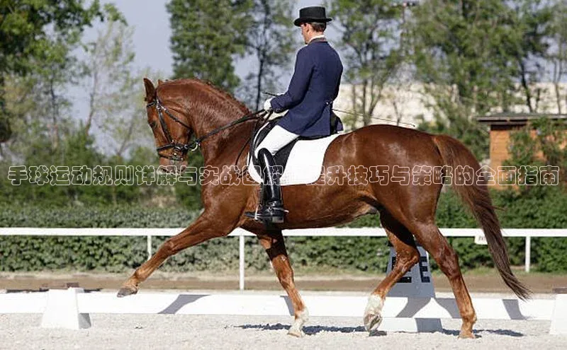 k1体育登录入口注册送38元